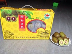 兴隆丰  精品红心猕猴桃   水果图1