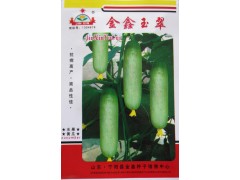 秒杀寿光蔬菜种子 水果黄瓜种子无刺小黄瓜种子 家庭种植阳台盆栽图1