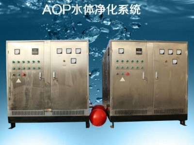 冠宇GY-AOP-30水体净化设备涉水批件图2