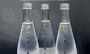 2025第17届北京高端健康饮用水展