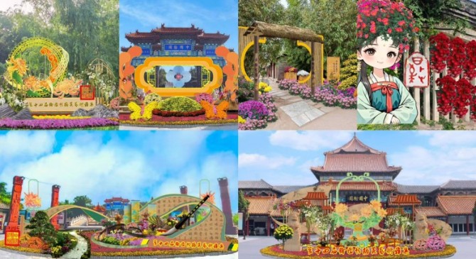 第十五届中国菊花博览会惊艳开幕，这场秋日盛宴等你打卡！