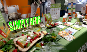 2026年美国NECANN工业大麻与CBD产业巡展——波士顿站