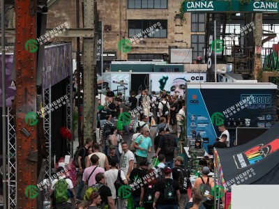 2026 年 8 月德国杜塞大麻展览会介绍图5