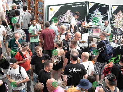 2026 年 8 月德国杜塞大麻展览会介绍图7