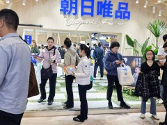 抢占全球酒店餐饮行业盛会2027第三十五届HOTELEX上海国际酒店及餐饮业博览会