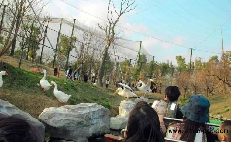微信图片_2026-03-25_104712_944_副本.jpg