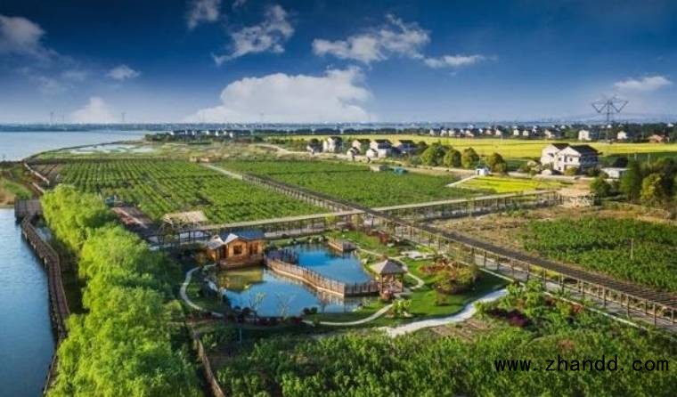 文章配图-3